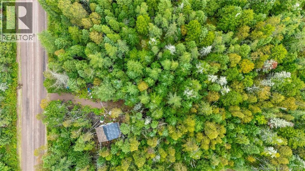 Lot Brooklyn Road, Midgic, New Brunswick  E4L 1W3 - Photo 8 - NB148129