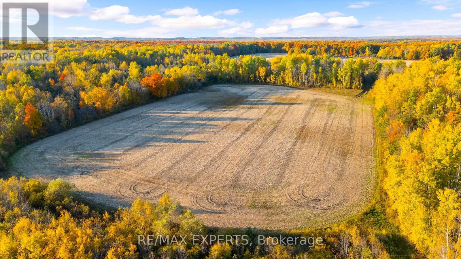 5188 Highway 26 Highway W, Clearview, Ontario  L0M 1S0 - Photo 14 - S13810824