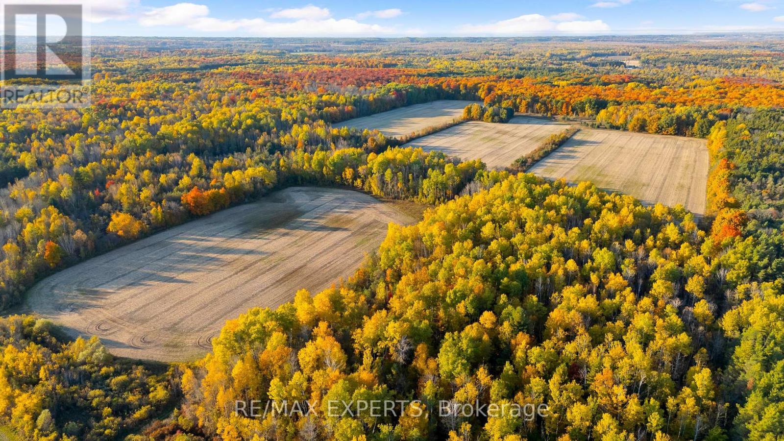 5188 Highway 26 Highway W, Clearview, Ontario  L0M 1S0 - Photo 15 - S13810824