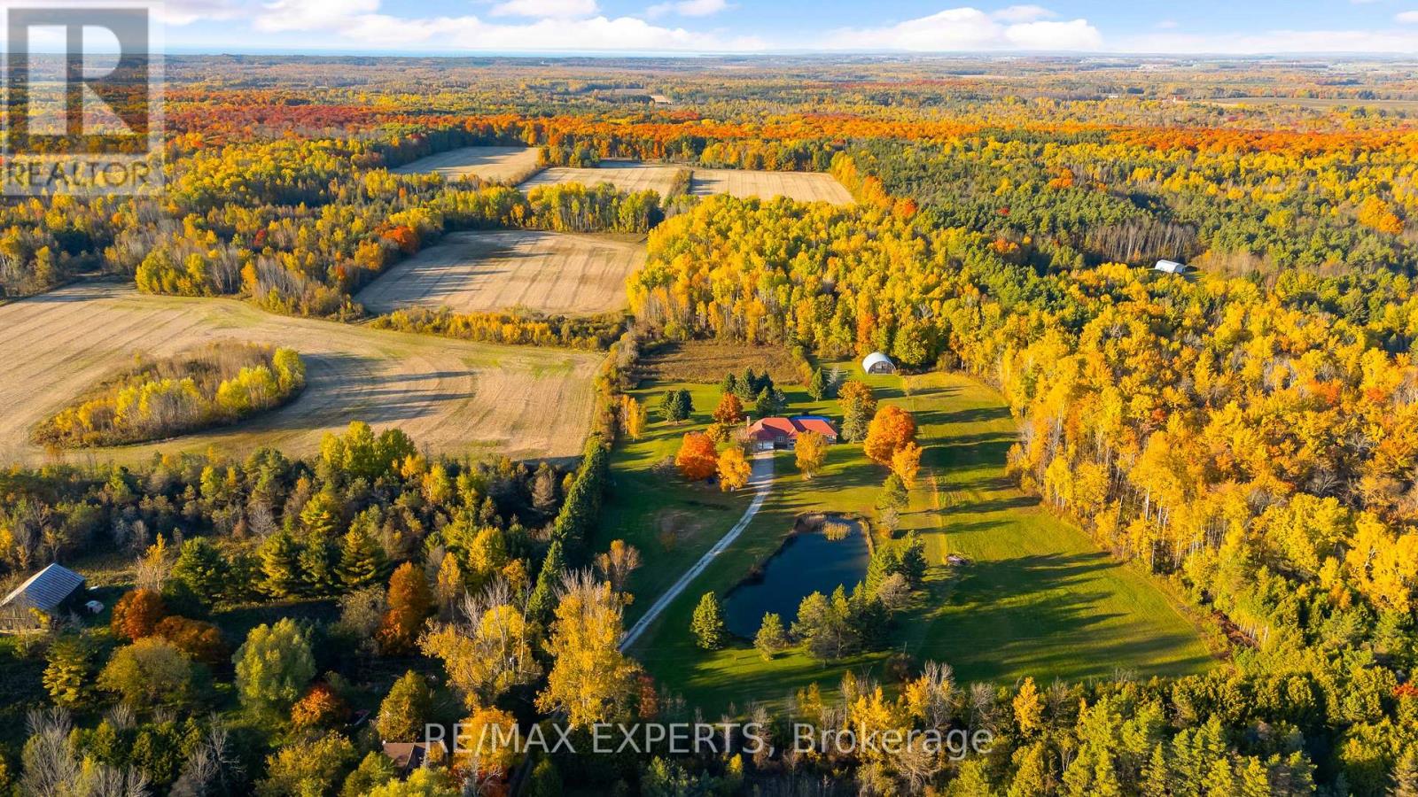 5188 Highway 26 Highway W, Clearview, Ontario  L0M 1S0 - Photo 3 - S13810824