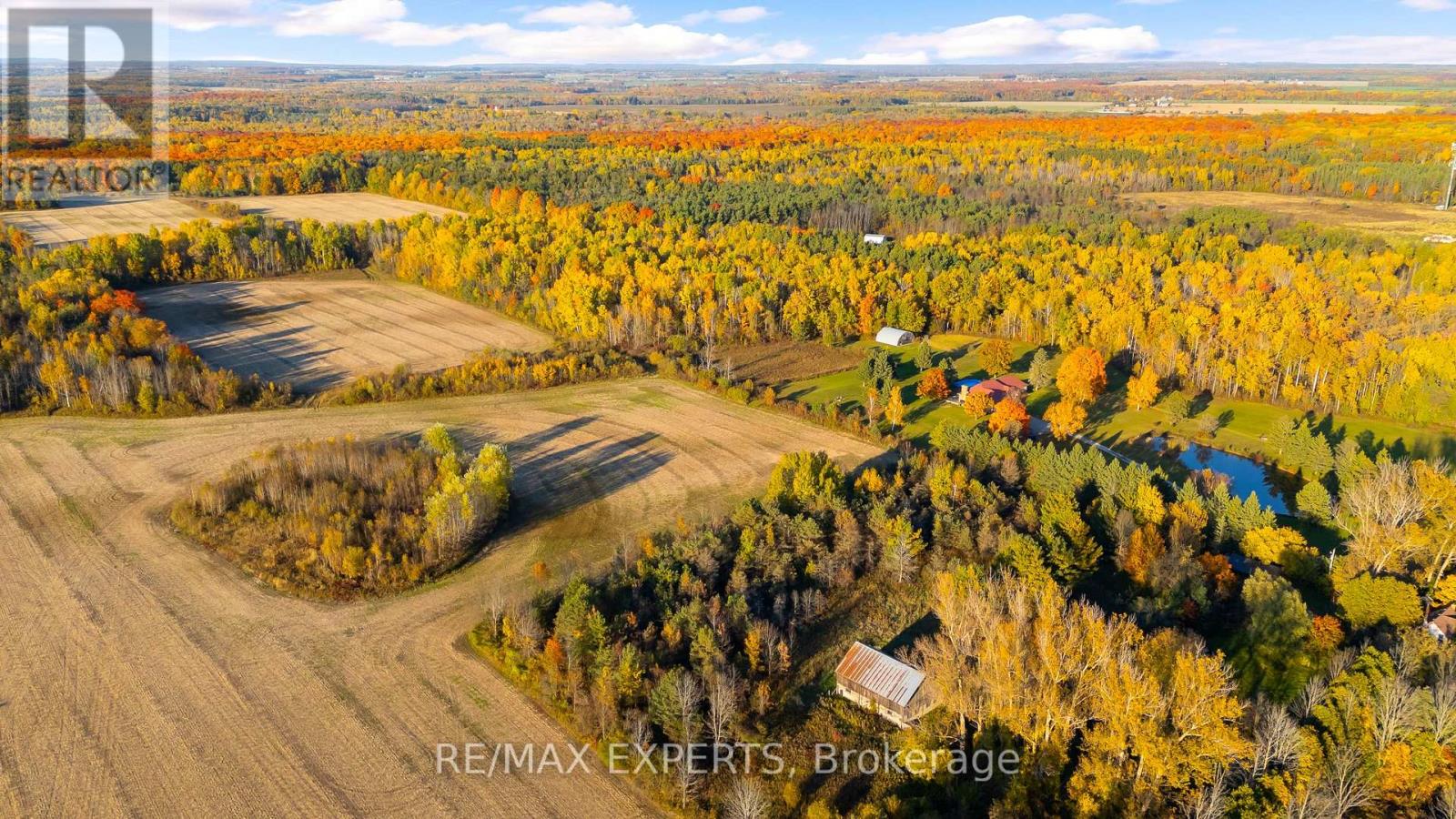 5188 Highway 26 Highway W, Clearview, Ontario  L0M 1S0 - Photo 4 - S13810824
