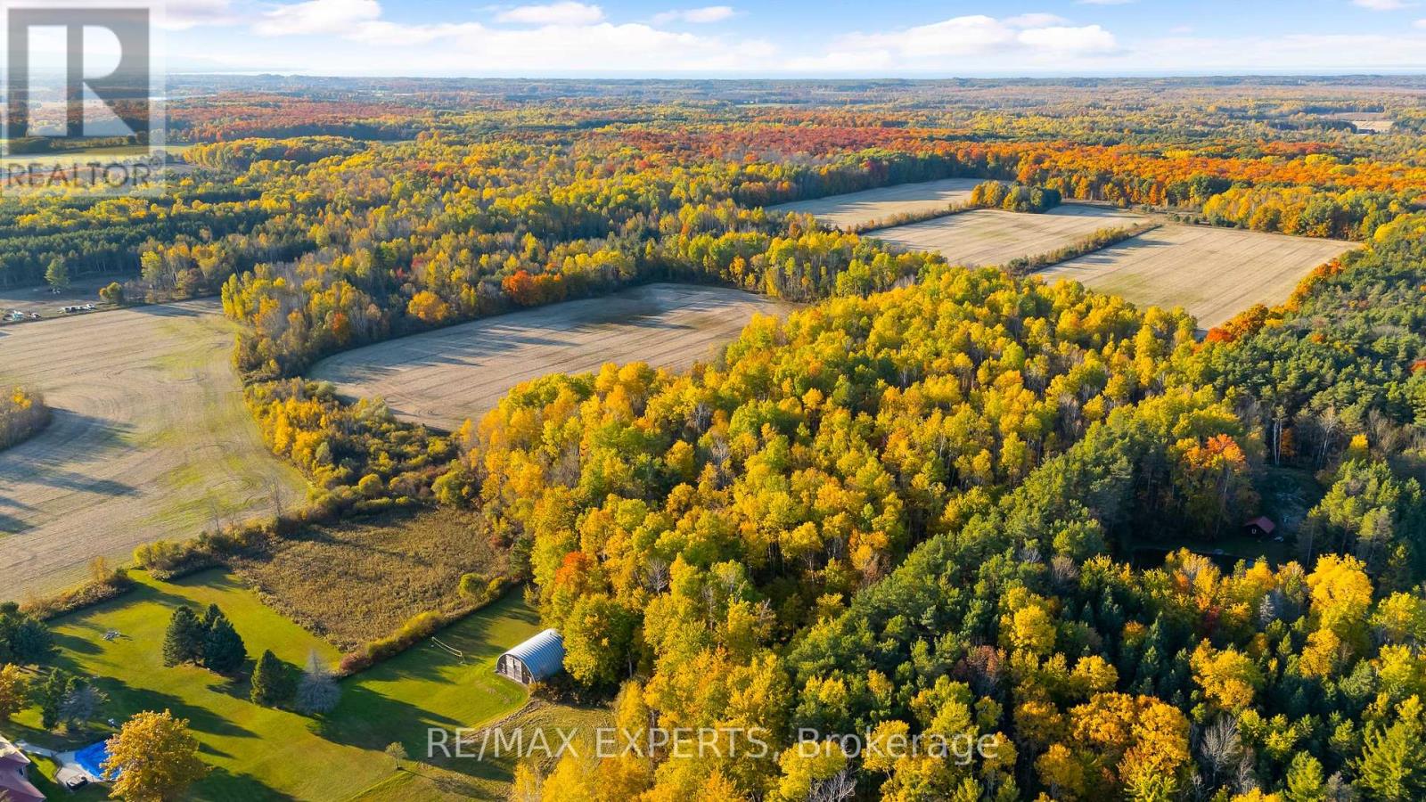5188 Highway 26 Highway W, Clearview, Ontario  L0M 1S0 - Photo 5 - S13810824