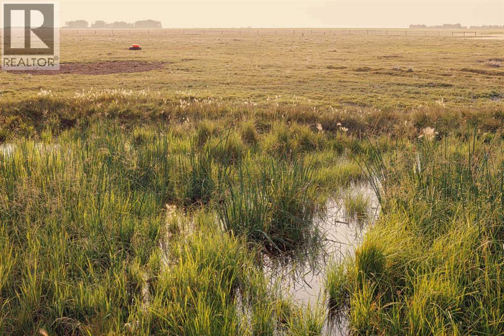 Parcel 6 Range Road 271 Just South Of Highway 9., Rural Rocky View County, Alberta  T0M 1G0 - Photo 6 - A2346986