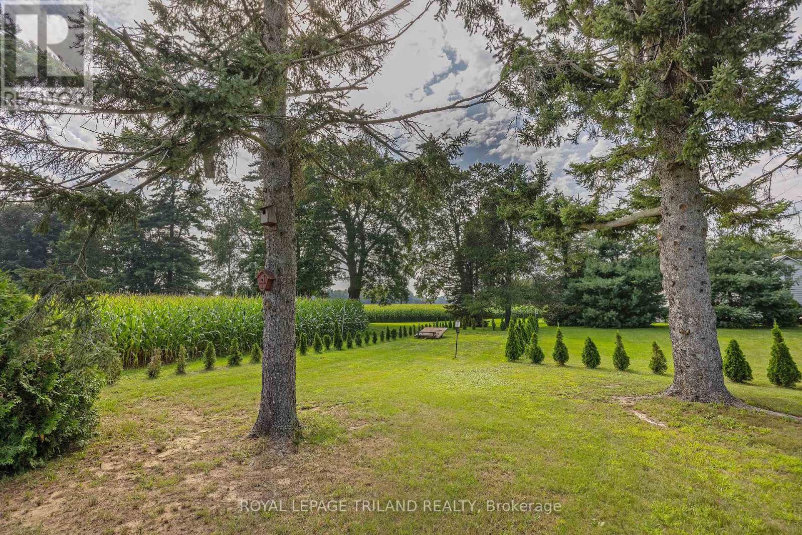 55267 Light Line, Bayham, Ontario  N0J 1Z0 - Photo 35 - X13810878
