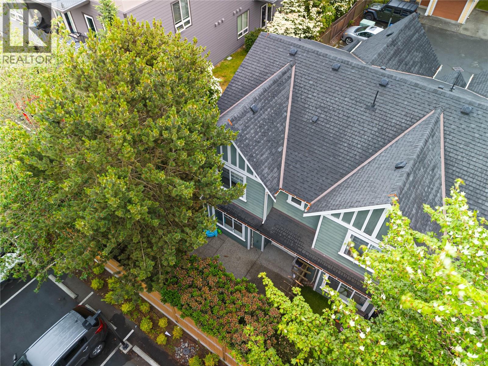 picture 33