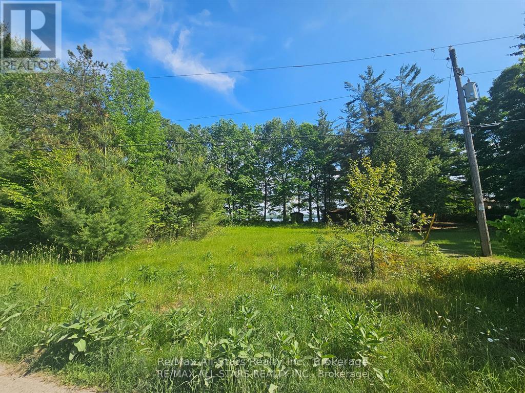 836 Lot 39 Indian Point Road, Kawartha Lakes, Ontario  K0M 1K0 - Photo 4 - X13811066
