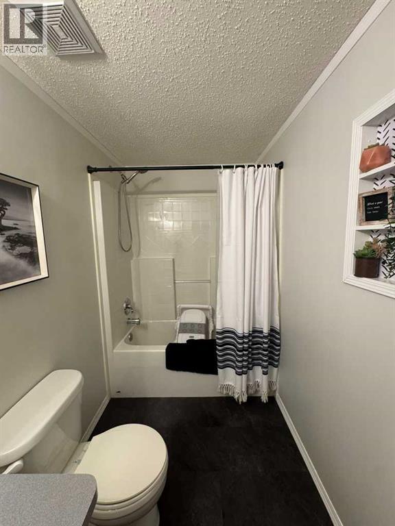 12127 97b Street, Grande Prairie, Alberta  T8V 7P2 - Photo 21 - A2347002