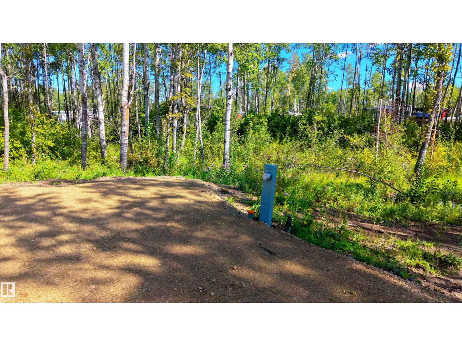 53509 RGE ROAD 60 photo 8