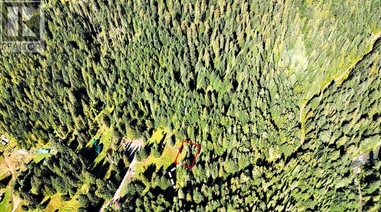 1645 Ferguson Road Lot# Parcel A, Ferguson, British Columbia V0G 1R2 - Photo 4 - 10401382