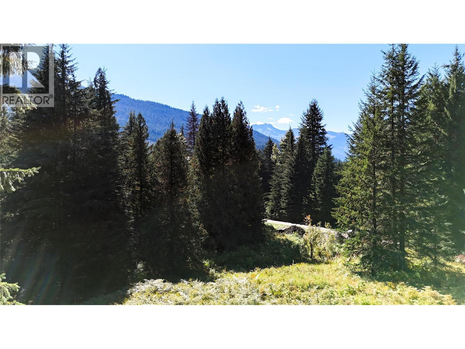 1645 Ferguson Road Lot# Parcel A, Ferguson, British Columbia V0G 1R2 - Photo 8 - 10401382