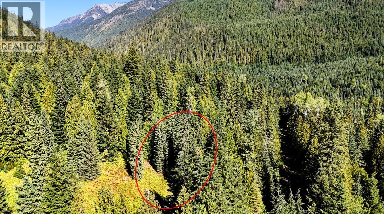 1645 Ferguson Road Lot# Parcel A, Ferguson, British Columbia V0G 1R2 - Photo 3 - 10401382