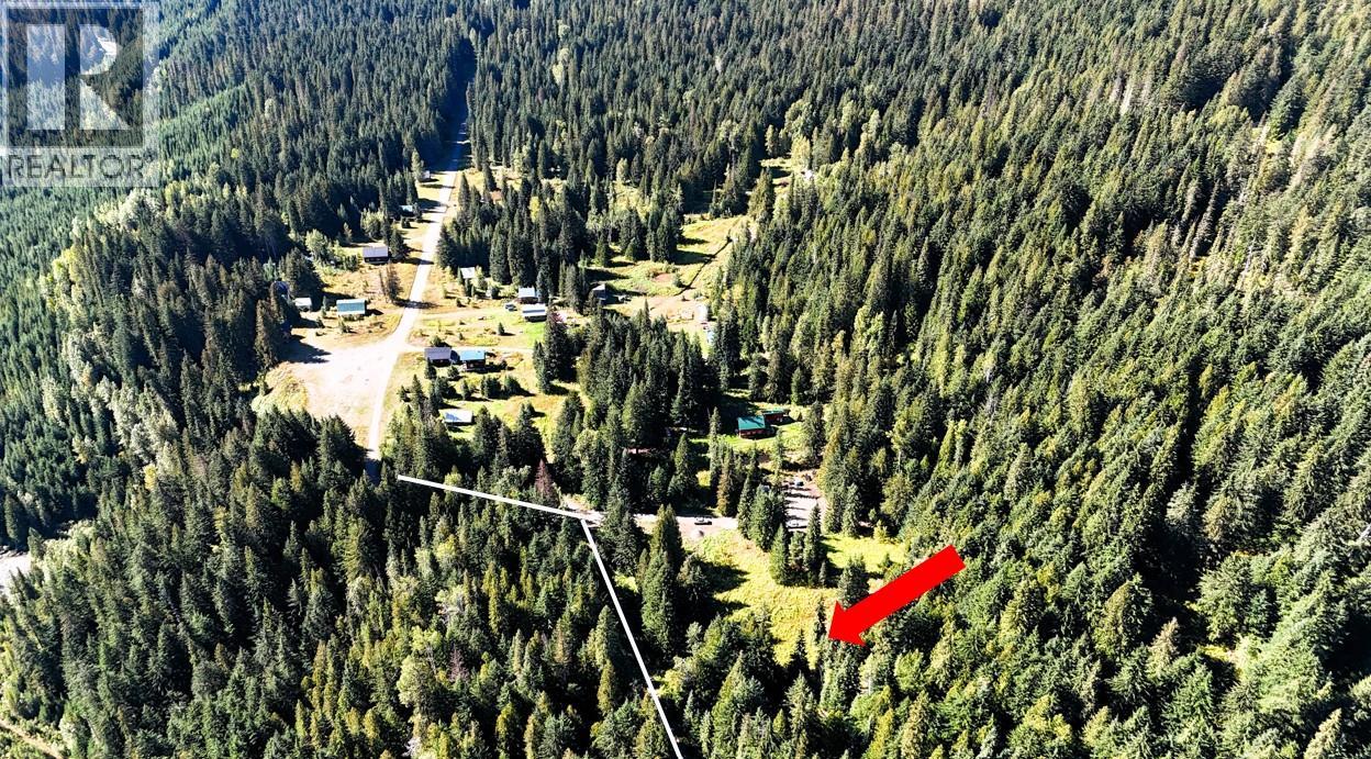 1645 Ferguson Road Lot# Parcel A, Ferguson, British Columbia V0G 1R2 - Photo 6 - 10401382