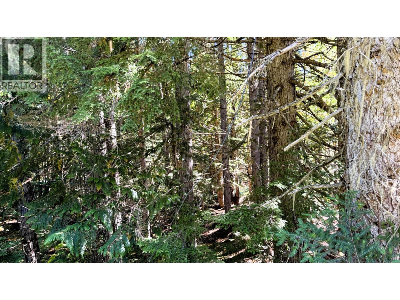1645 Ferguson Road Lot# Parcel A, Ferguson, British Columbia V0G 1R2 - Photo 13 - 10401382