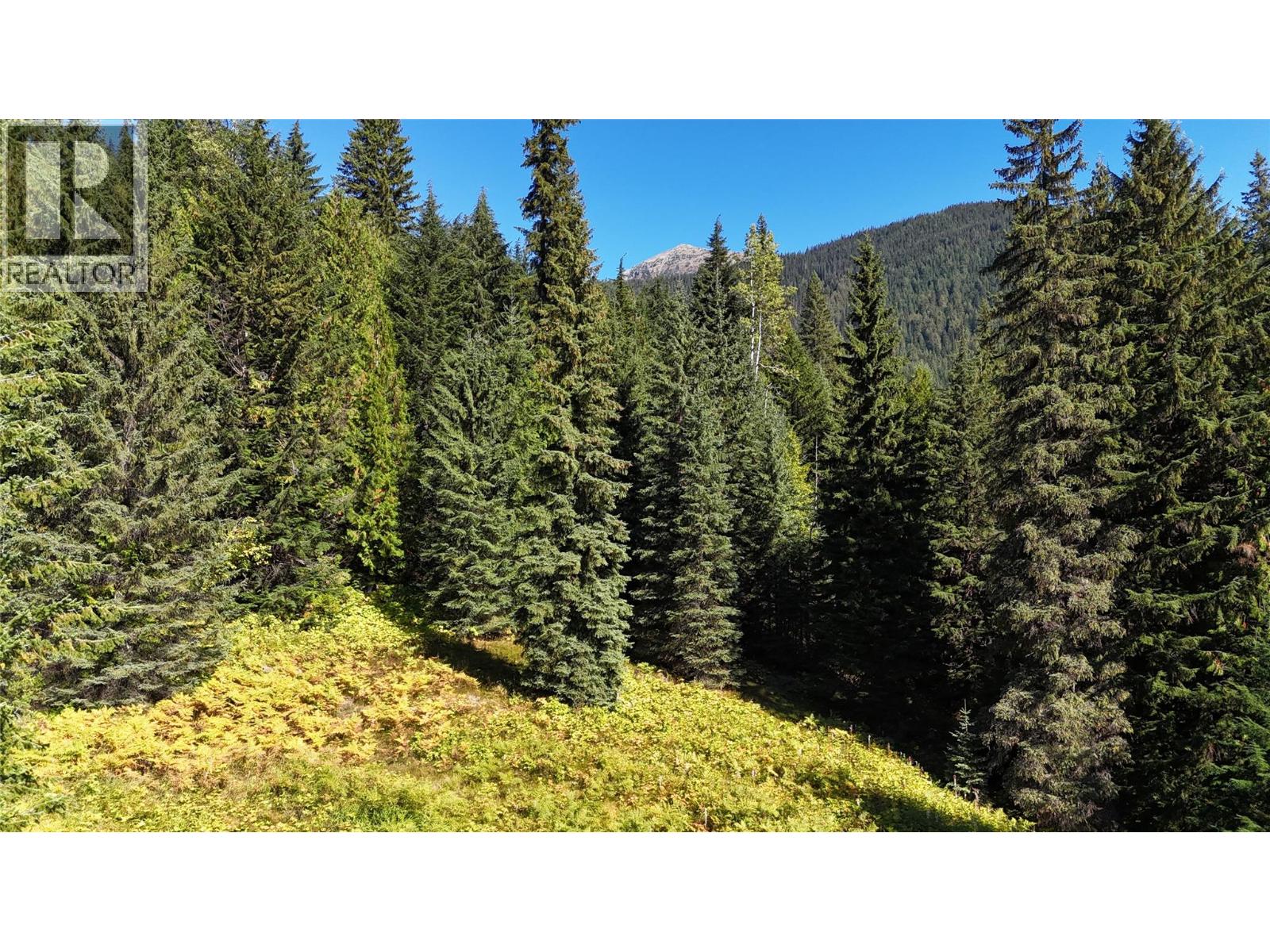 1645 Ferguson Road Lot# Parcel A, Ferguson, British Columbia V0G 1R2 - Photo 10 - 10401382