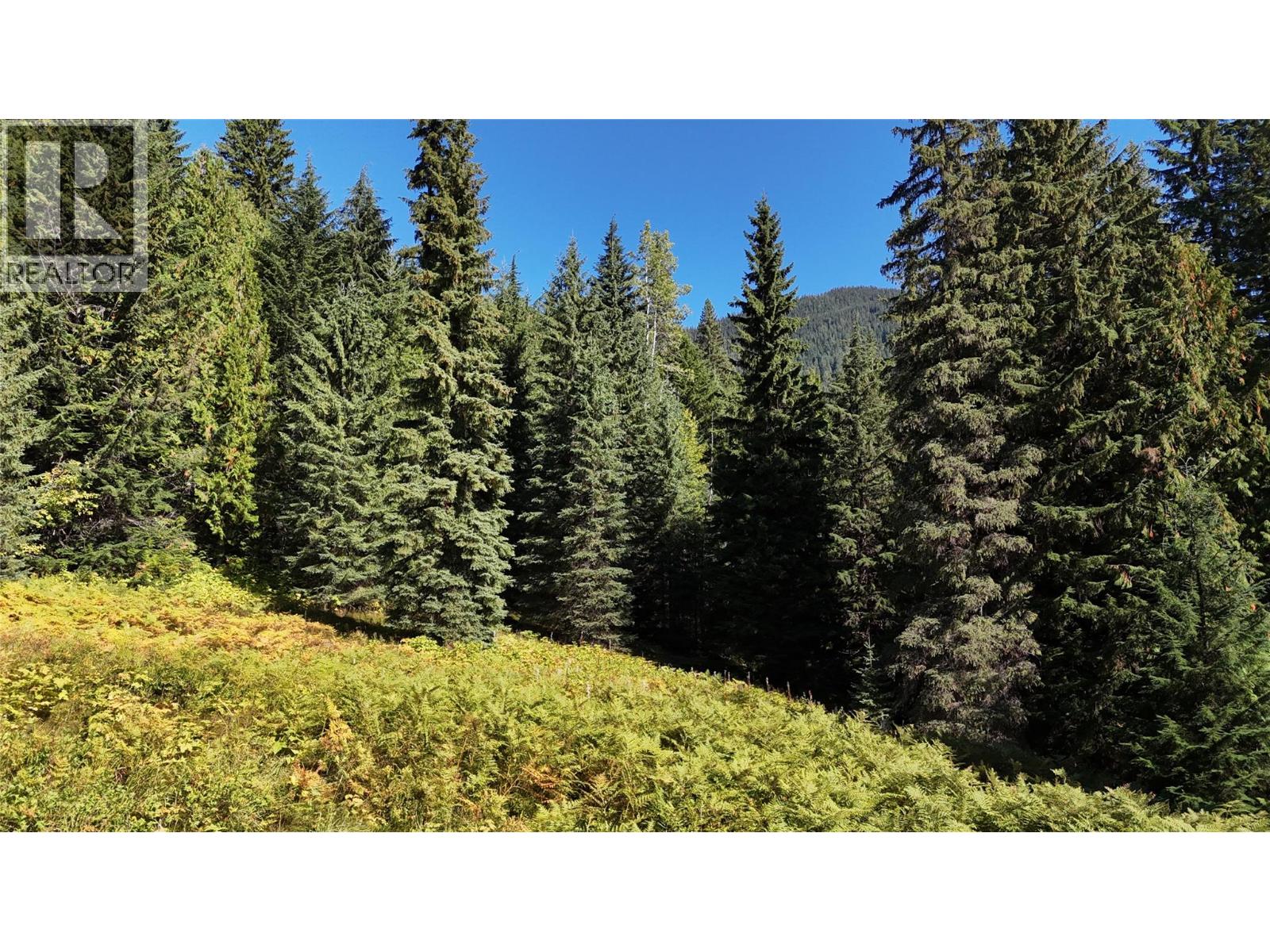 1645 Ferguson Road Lot# Parcel A, Ferguson, British Columbia V0G 1R2 - Photo 11 - 10401382