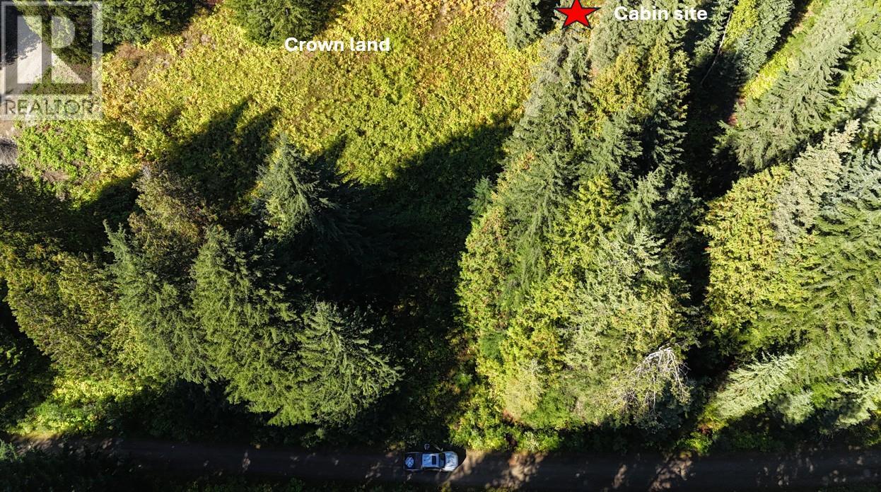 1645 Ferguson Road Lot# Parcel A, Ferguson, British Columbia V0G 1R2 - Photo 14 - 10401382
