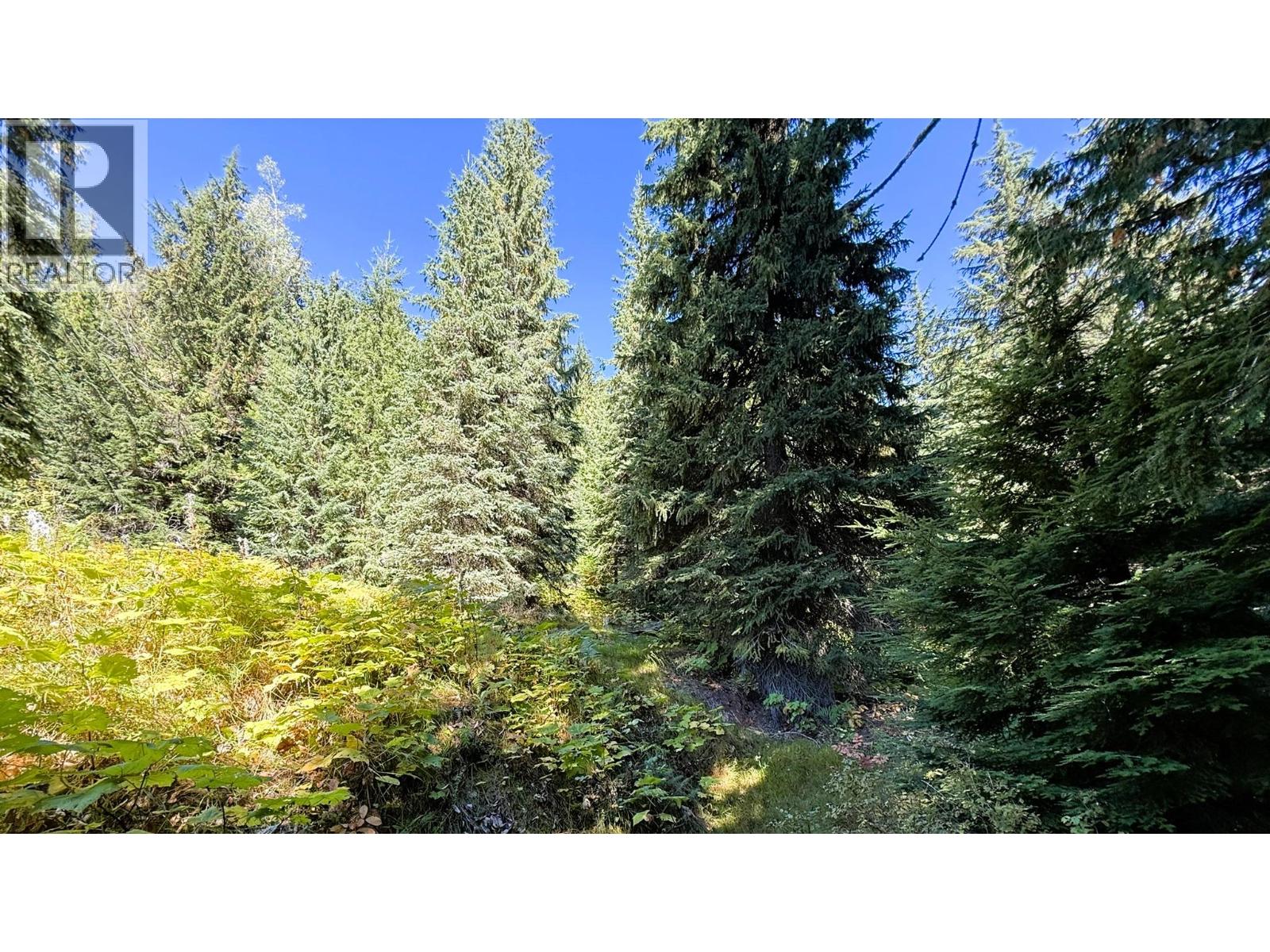 1645 Ferguson Road Lot# Parcel A, Ferguson, British Columbia V0G 1R2 - Photo 12 - 10401382