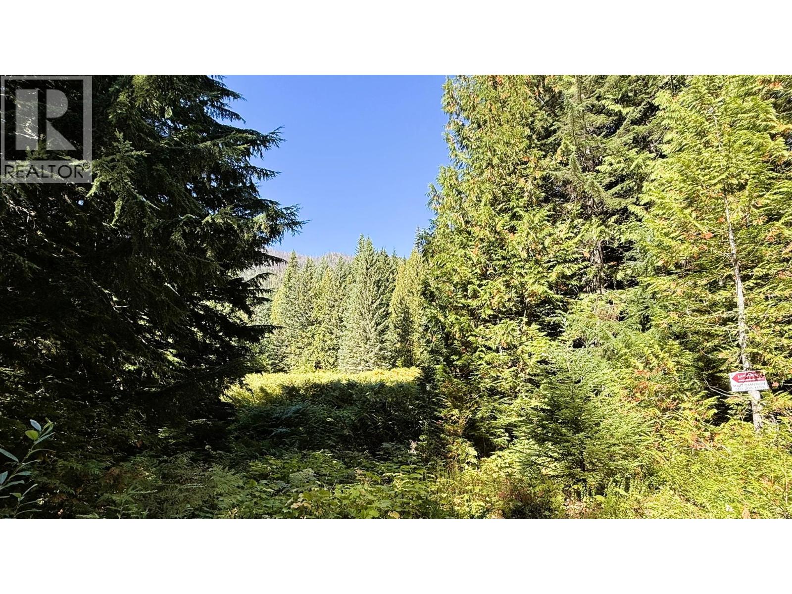 1645 Ferguson Road Lot# Parcel A, Ferguson, British Columbia V0G 1R2 - Photo 15 - 10401382
