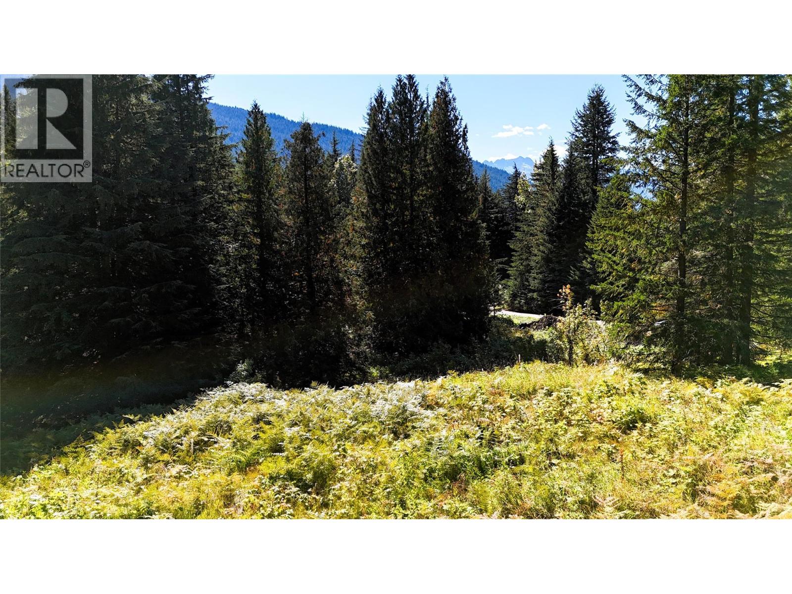 1645 Ferguson Road Lot# Parcel A, Ferguson, British Columbia V0G 1R2 - Photo 9 - 10401382