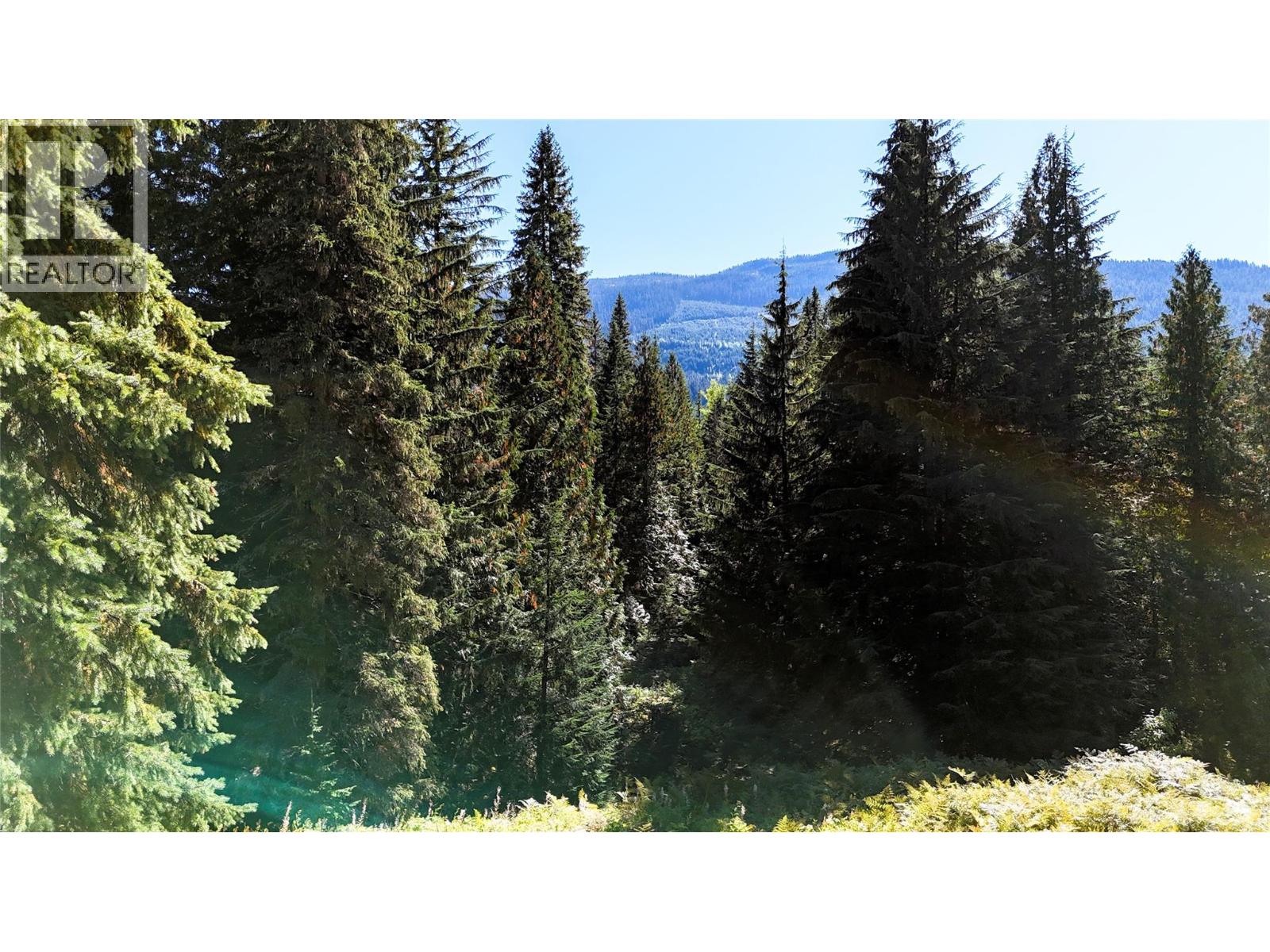 1645 Ferguson Road Lot# Parcel A, Ferguson, British Columbia V0G 1R2 - Photo 7 - 10401382