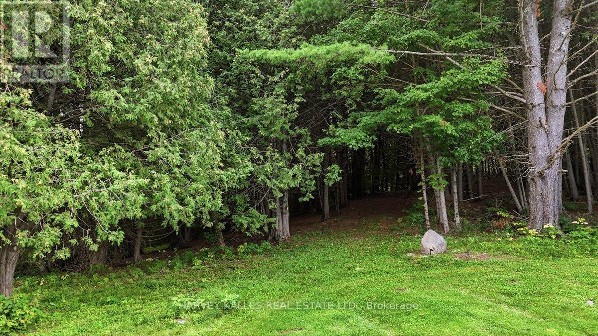 2755 Rapids Road, Tweed, Ontario  K0K 3J0 - Photo 46 - X13809224