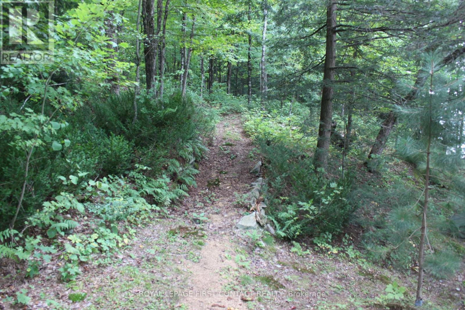 10 Healey Lake Road, The Archipelago, Ontario  P0C 1H0 - Photo 25 - X13810704