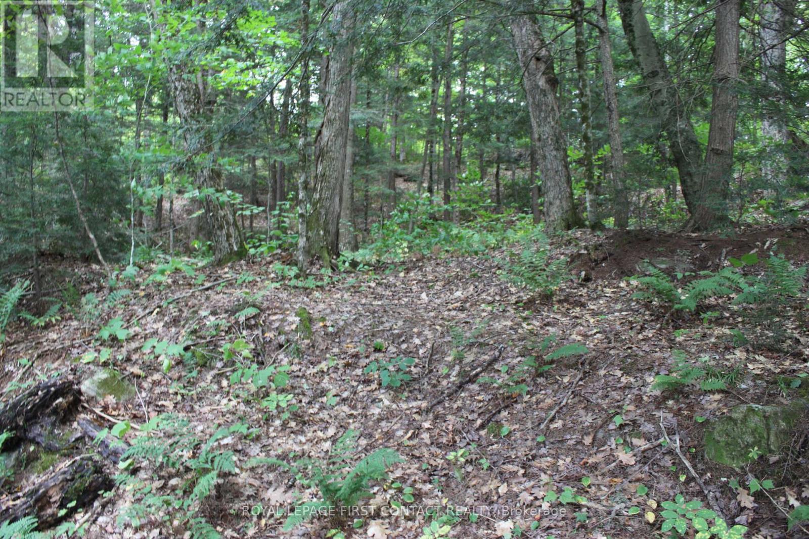 10 Healey Lake Road, The Archipelago, Ontario  P0C 1H0 - Photo 28 - X13810704