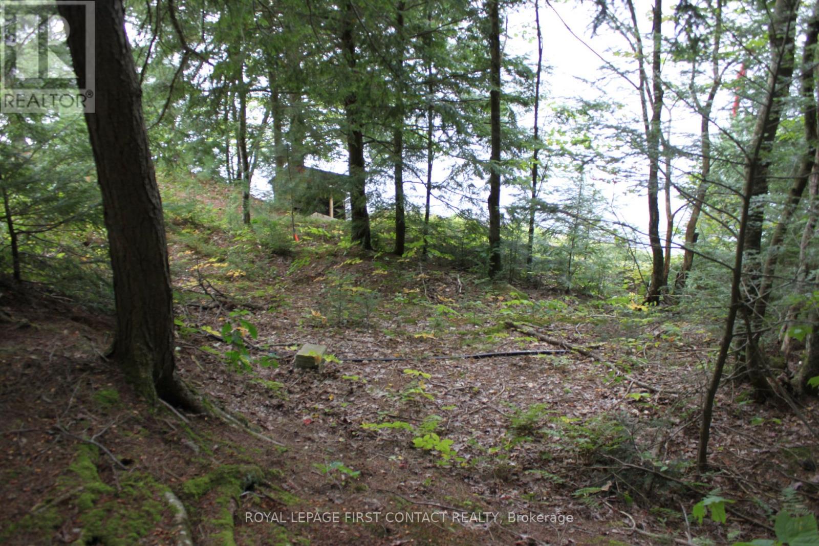 10 Healey Lake Road, The Archipelago, Ontario  P0C 1H0 - Photo 26 - X13810704