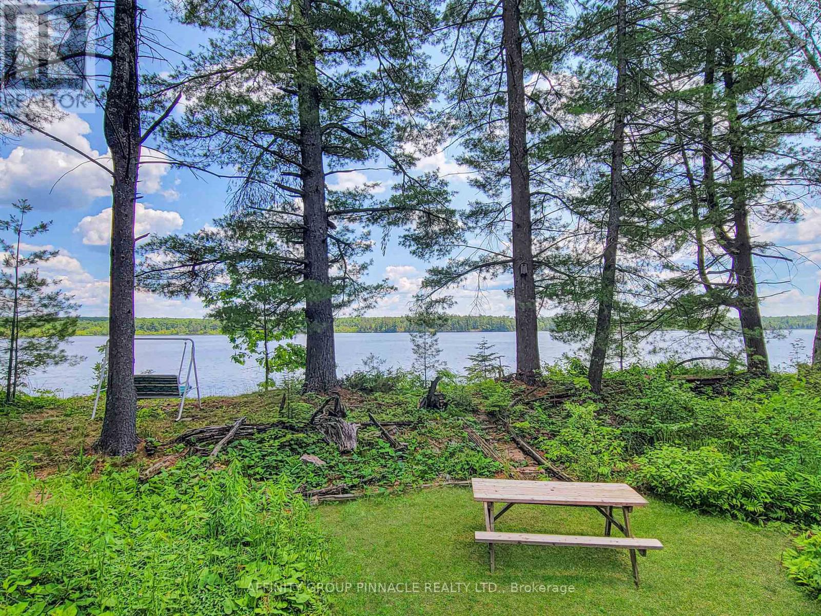 396 North Shore Road, Kawartha Lakes (Laxton/digby/longford), Ontario  K0M 2B0 - Photo 5 - X13811354