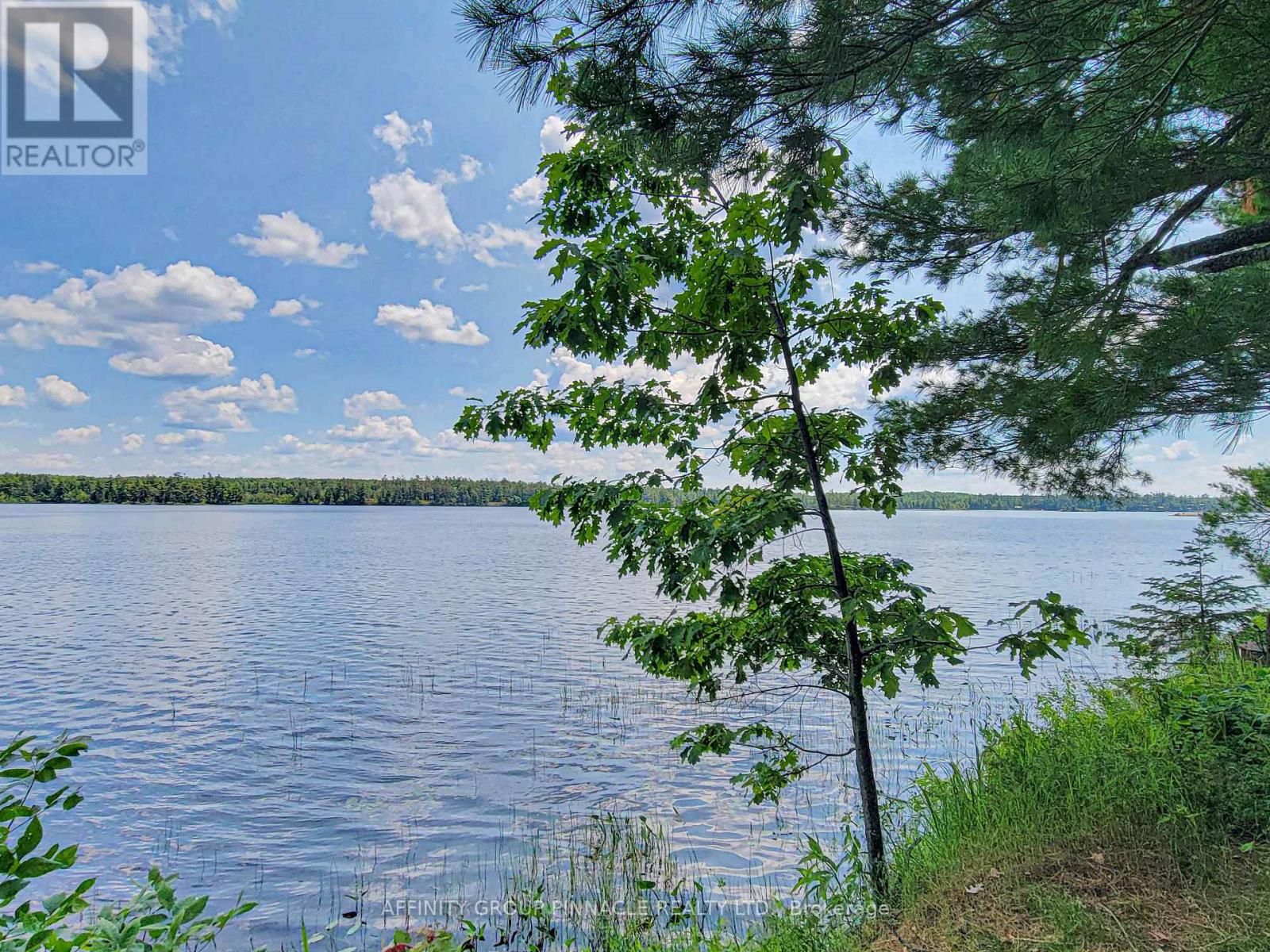 396 North Shore Road, Kawartha Lakes (Laxton/digby/longford), Ontario  K0M 2B0 - Photo 6 - X13811354