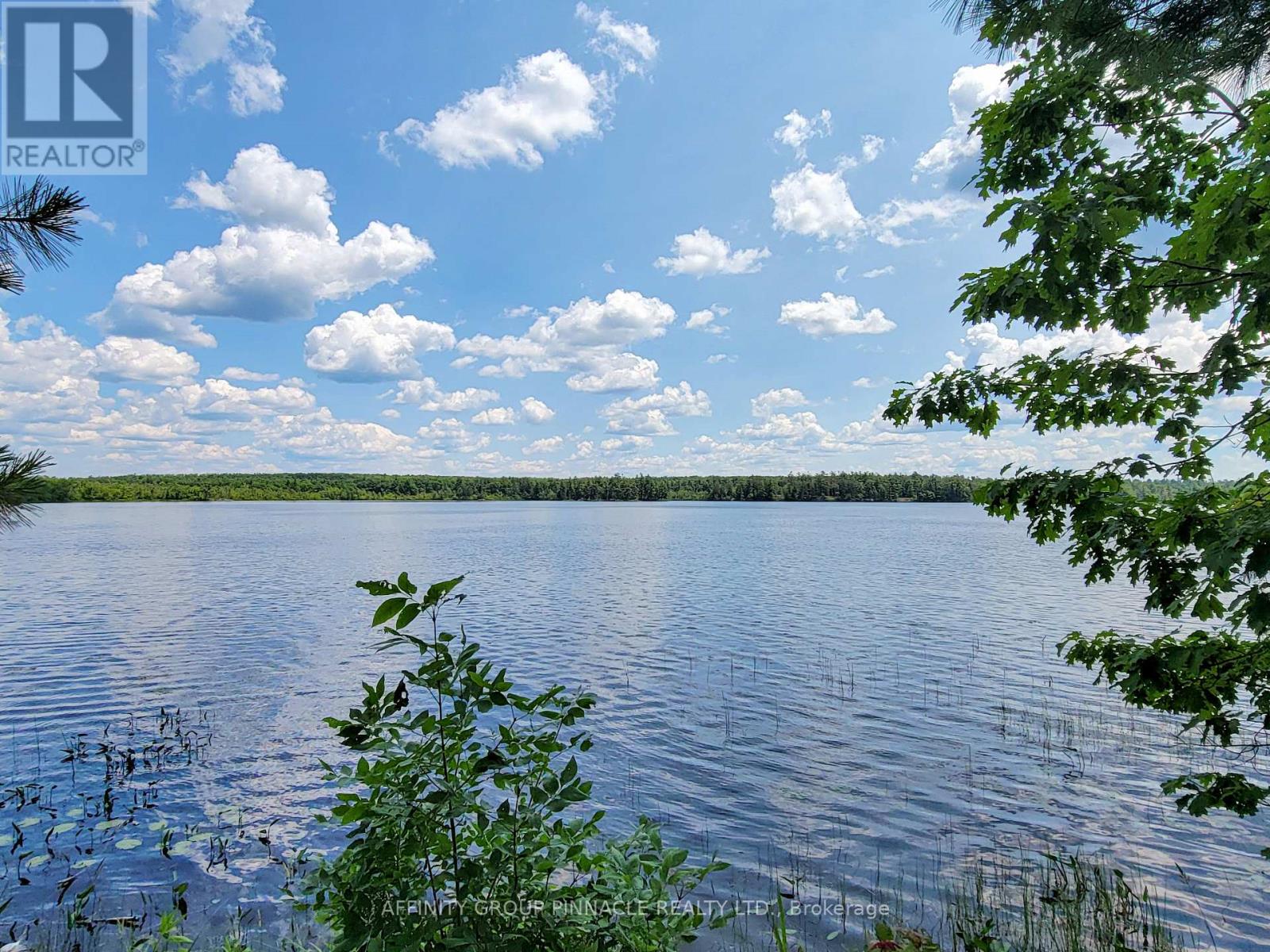 396 North Shore Road, Kawartha Lakes (Laxton/digby/longford), Ontario  K0M 2B0 - Photo 7 - X13811354