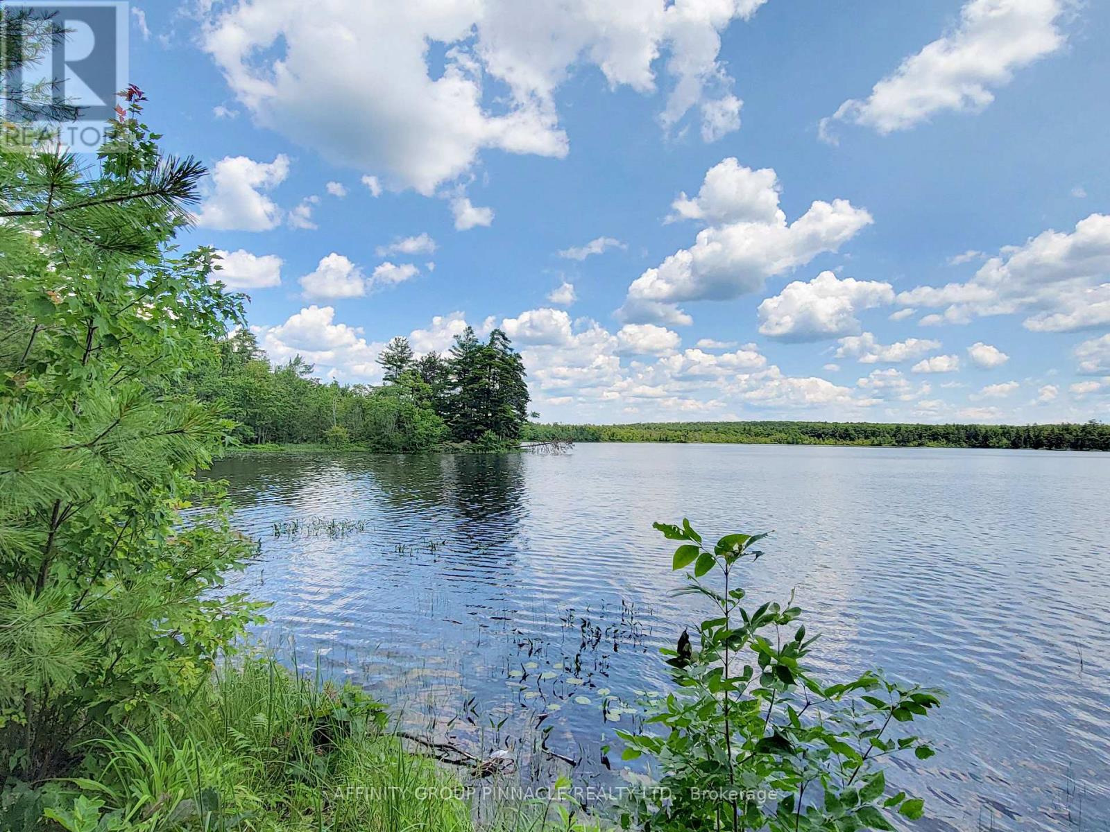 396 North Shore Road, Kawartha Lakes (Laxton/digby/longford), Ontario  K0M 2B0 - Photo 8 - X13811354