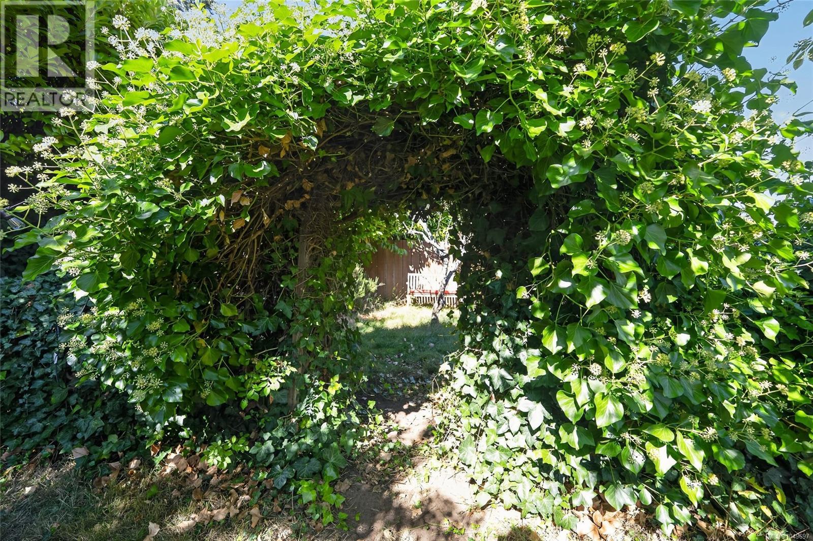 picture 43