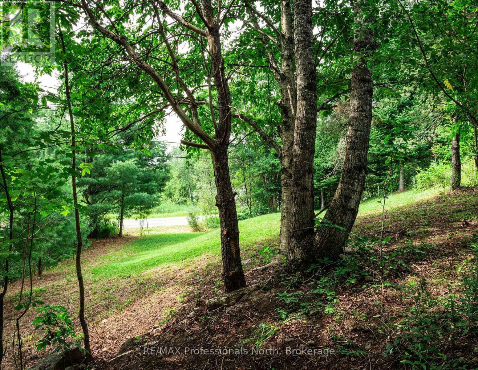 0 Townline Road, Huntsville, Ontario  P1H 1S7 - Photo 15 - X13811304