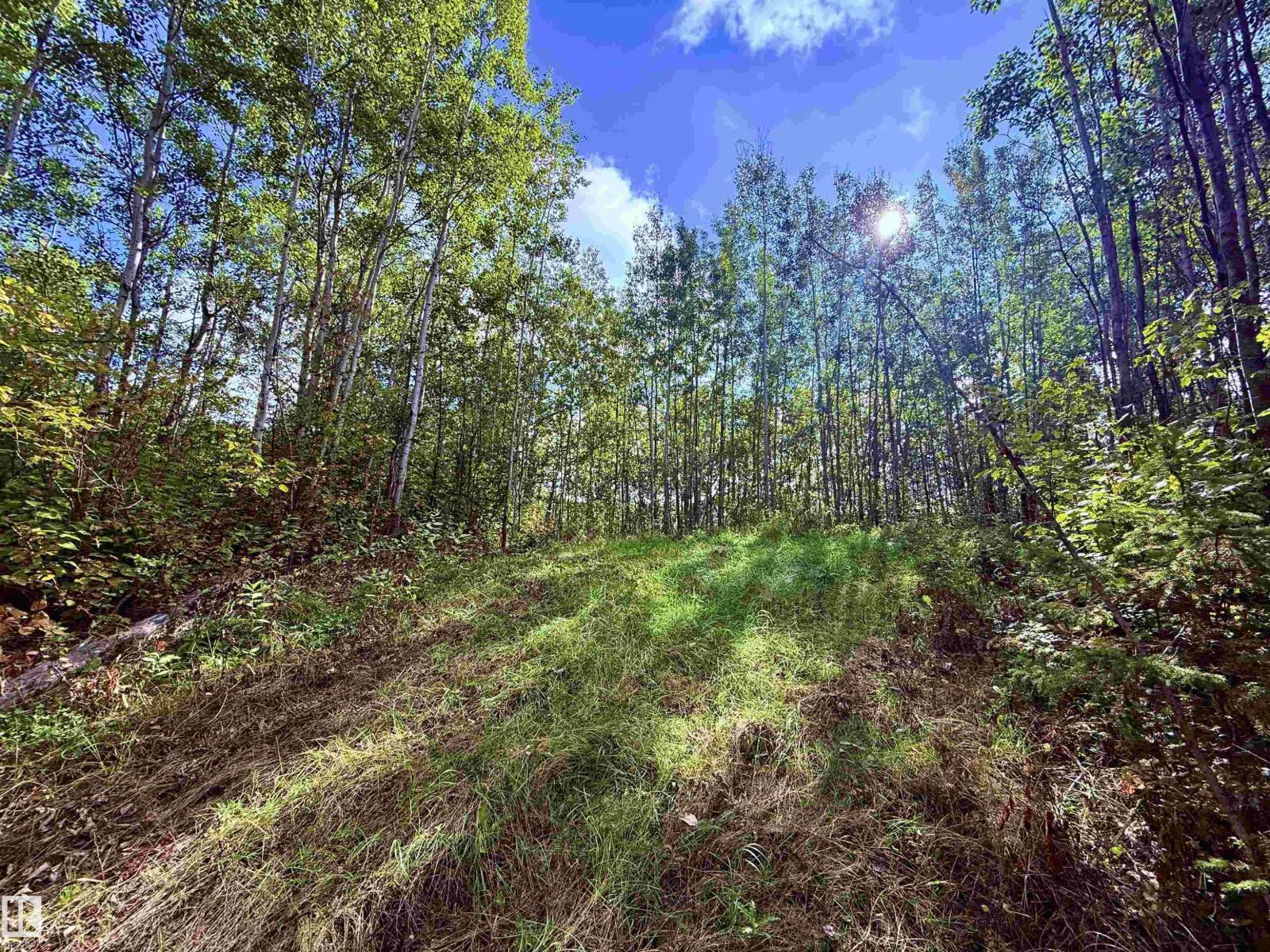 #133 51248 Rge Road 231, Rural Strathcona County, Alberta  T8B 1K7 - Photo 8 - E4509742