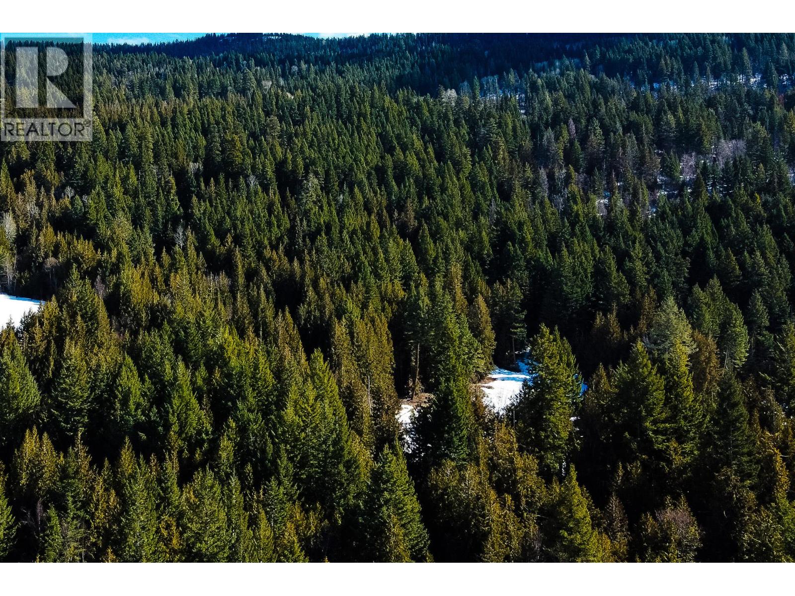 6051 Oyama Lake Road, Oyama, British Columbia  V4V 2C9 - Photo 14 - 10401294