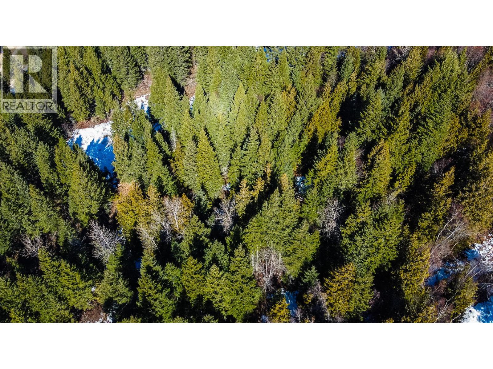 6051 Oyama Lake Road, Oyama, British Columbia  V4V 2C9 - Photo 15 - 10401294