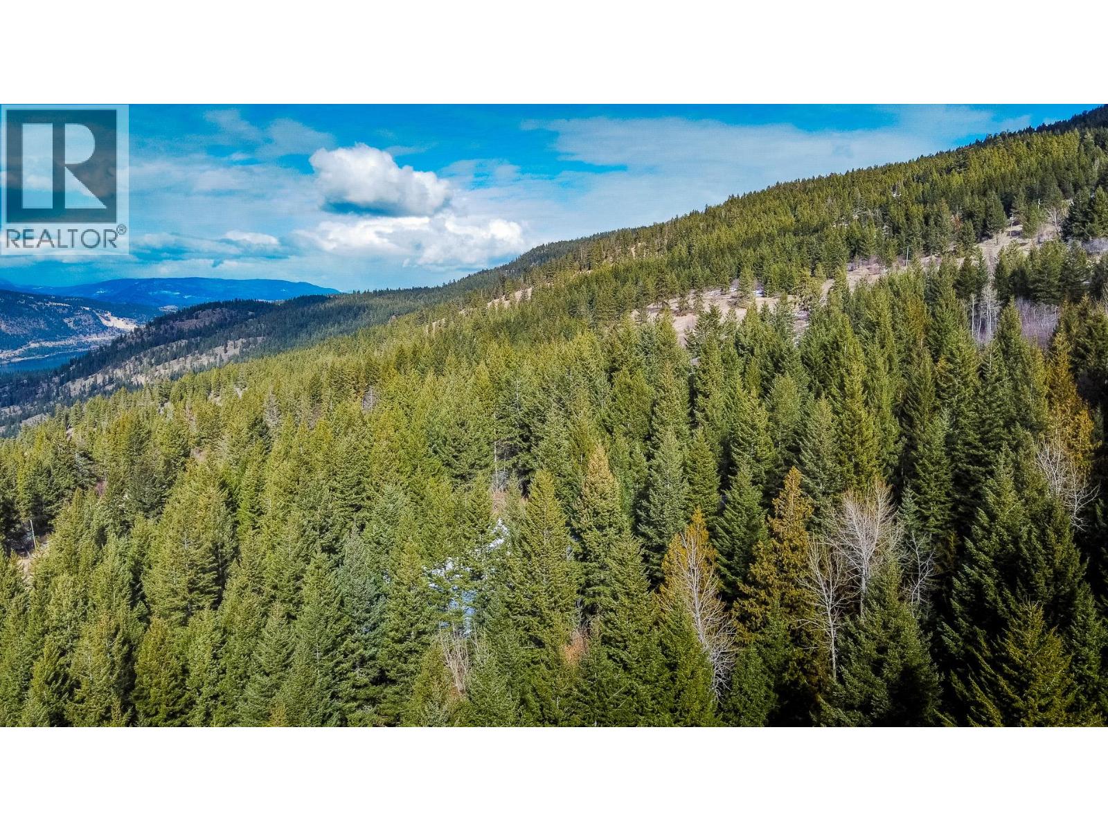 6051 Oyama Lake Road, Oyama, British Columbia  V4V 2C9 - Photo 37 - 10401294