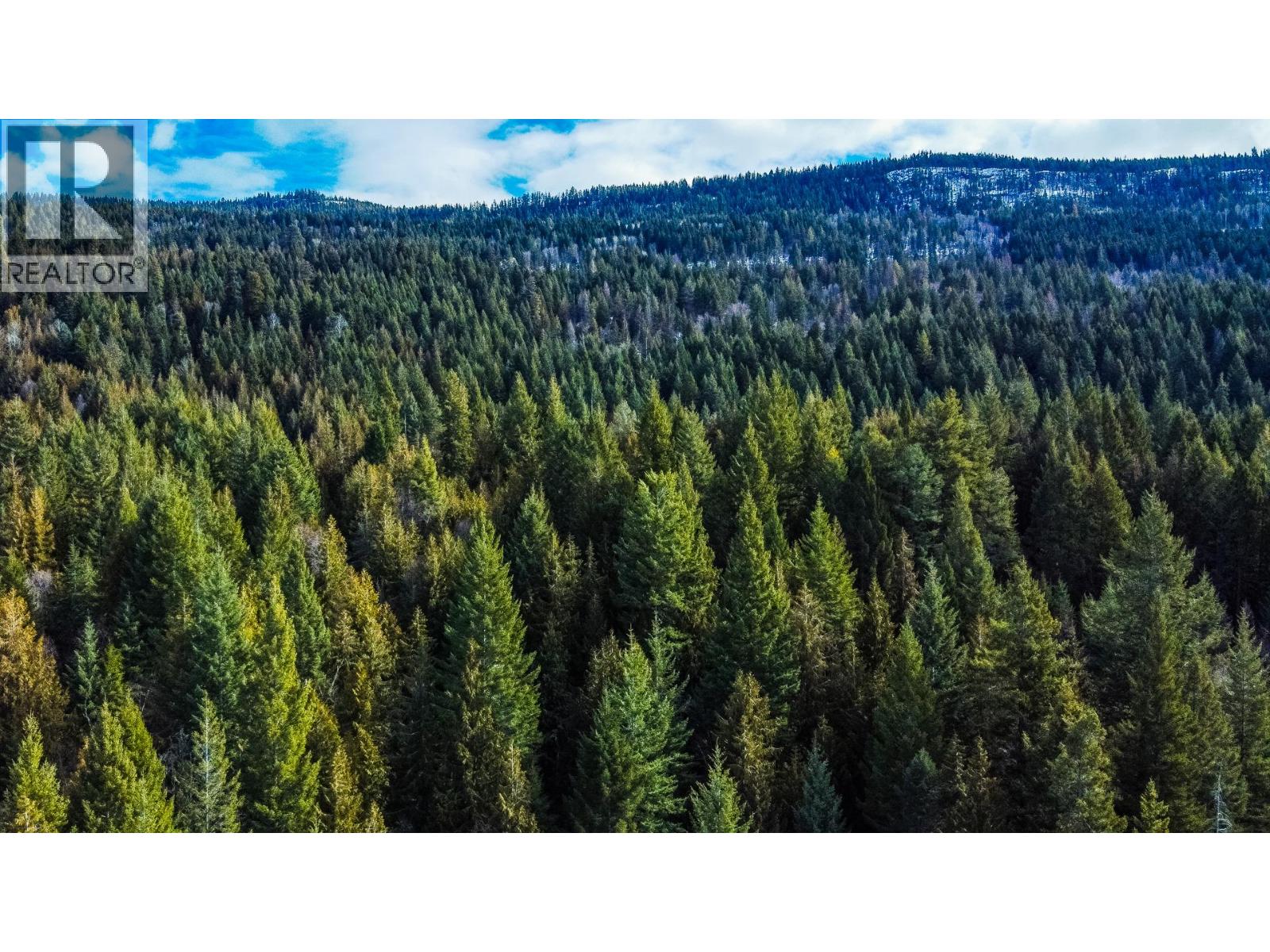 6051 Oyama Lake Road, Oyama, British Columbia  V4V 2C9 - Photo 38 - 10401294