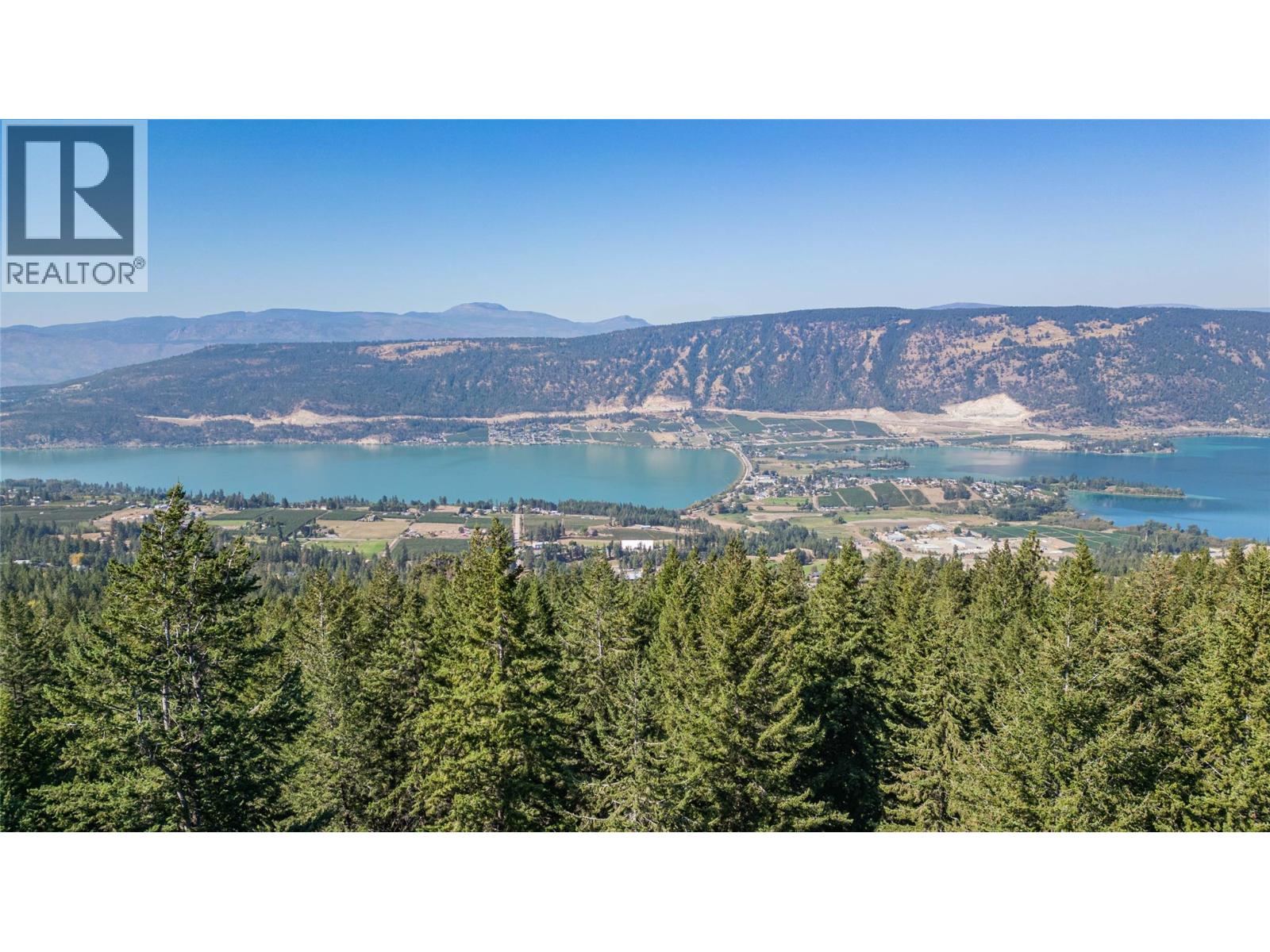 6051 Oyama Lake Road, Oyama, British Columbia  V4V 2C9 - Photo 6 - 10401294