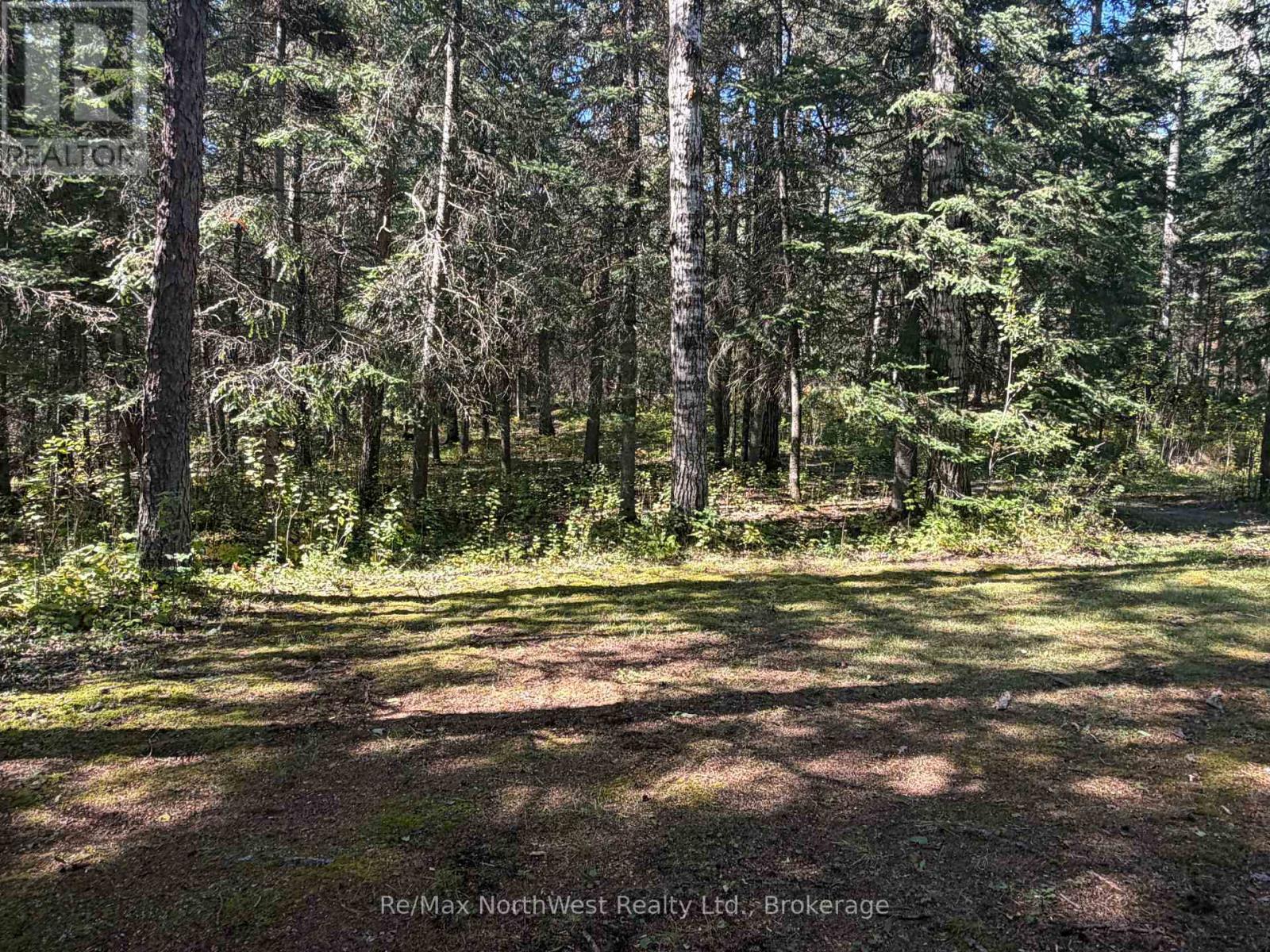 Lot 12 Con 4 Hwy 596 Highway, Kenora Remote Area, Ontario  P0X 1C0 - Photo 17 - X13811514