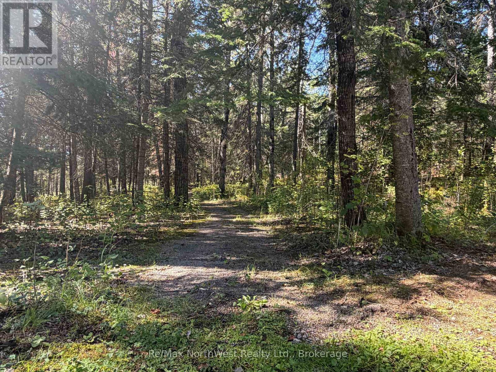 Lot 12 Con 4 Hwy 596 Highway, Kenora Remote Area, Ontario  P0X 1C0 - Photo 18 - X13811514