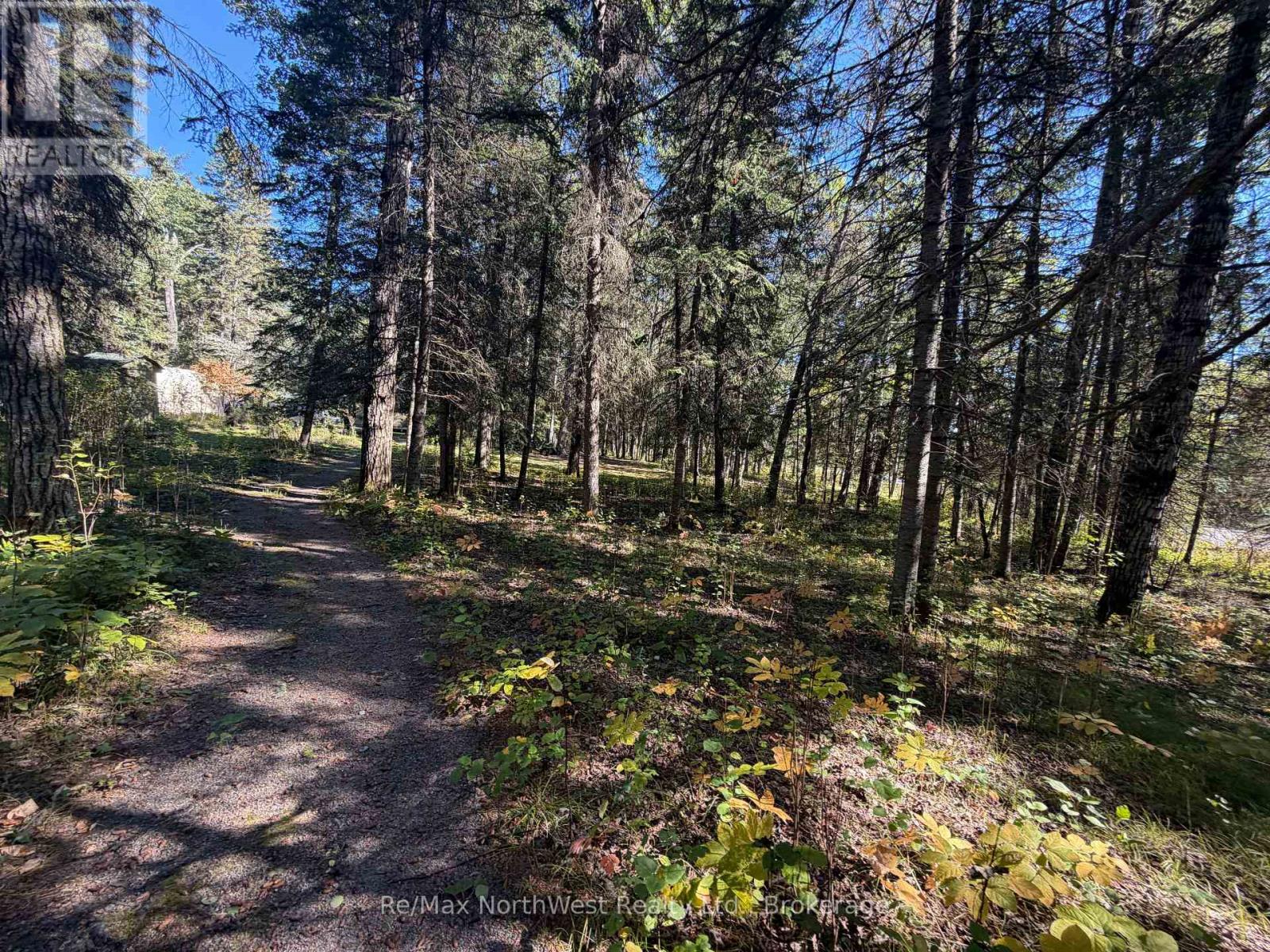 Lot 12 Con 4 Hwy 596 Highway, Kenora Remote Area, Ontario  P0X 1C0 - Photo 21 - X13811514
