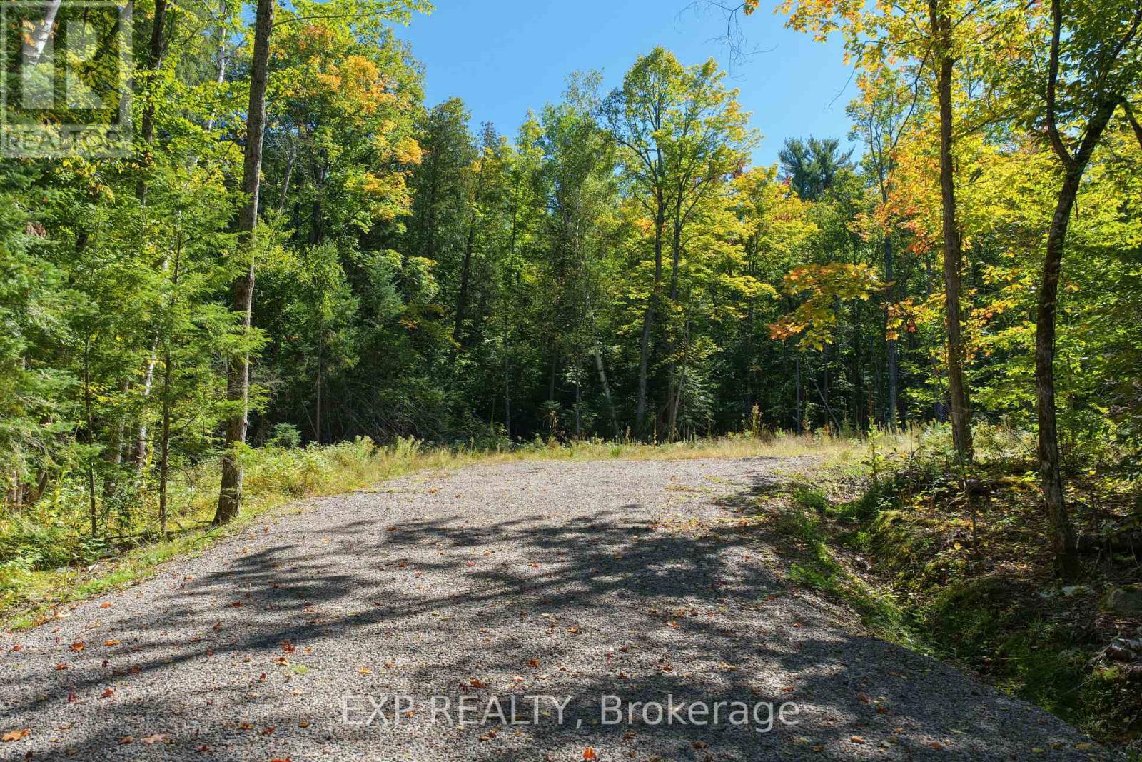 Lot 6 Lakewoods Drive, Madawaska Valley, Ontario  K0J 1B0 - Photo 4 - X13079872