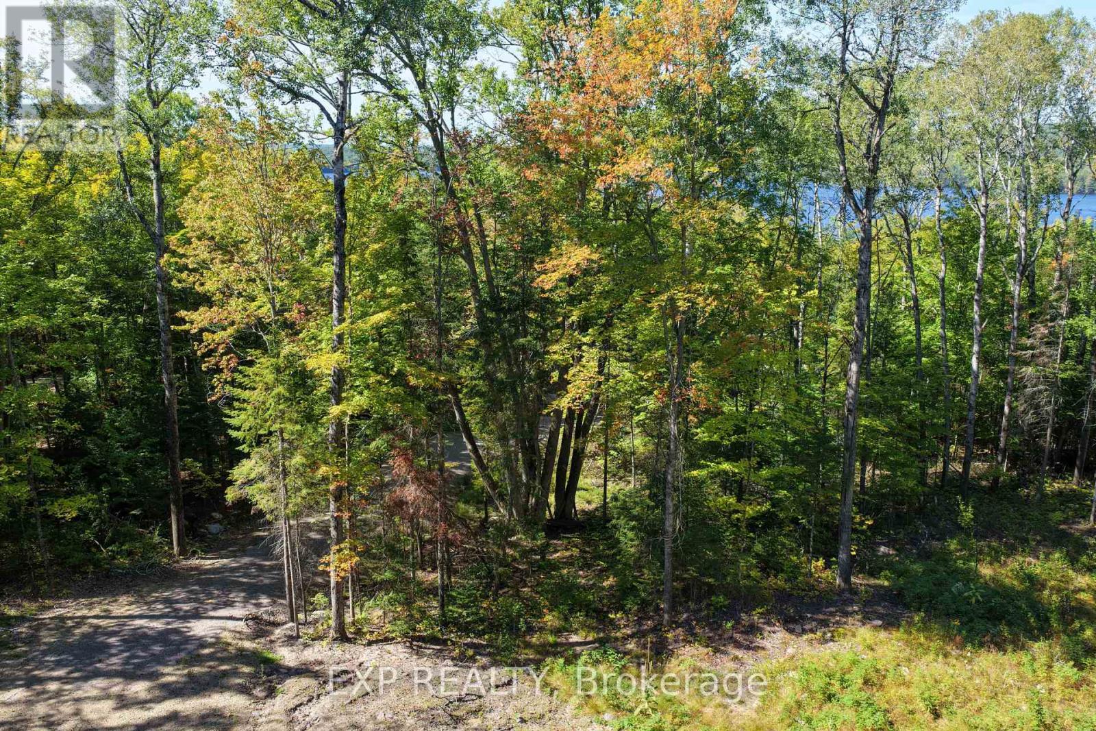 Lot 8 Lakewoods Drive, Madawaska Valley, Ontario K0J 1B0 - Photo 5 - X13079876