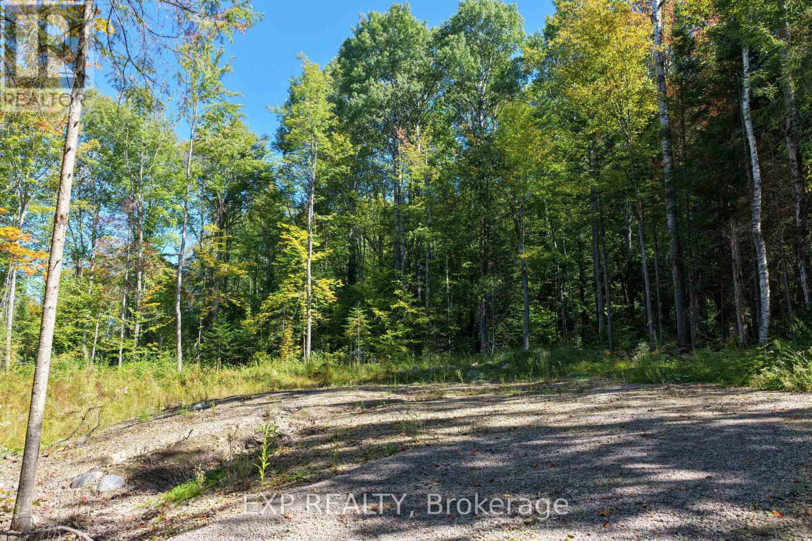 Lot 8 Lakewoods Drive, Madawaska Valley, Ontario K0J 1B0 - Photo 4 - X13079876