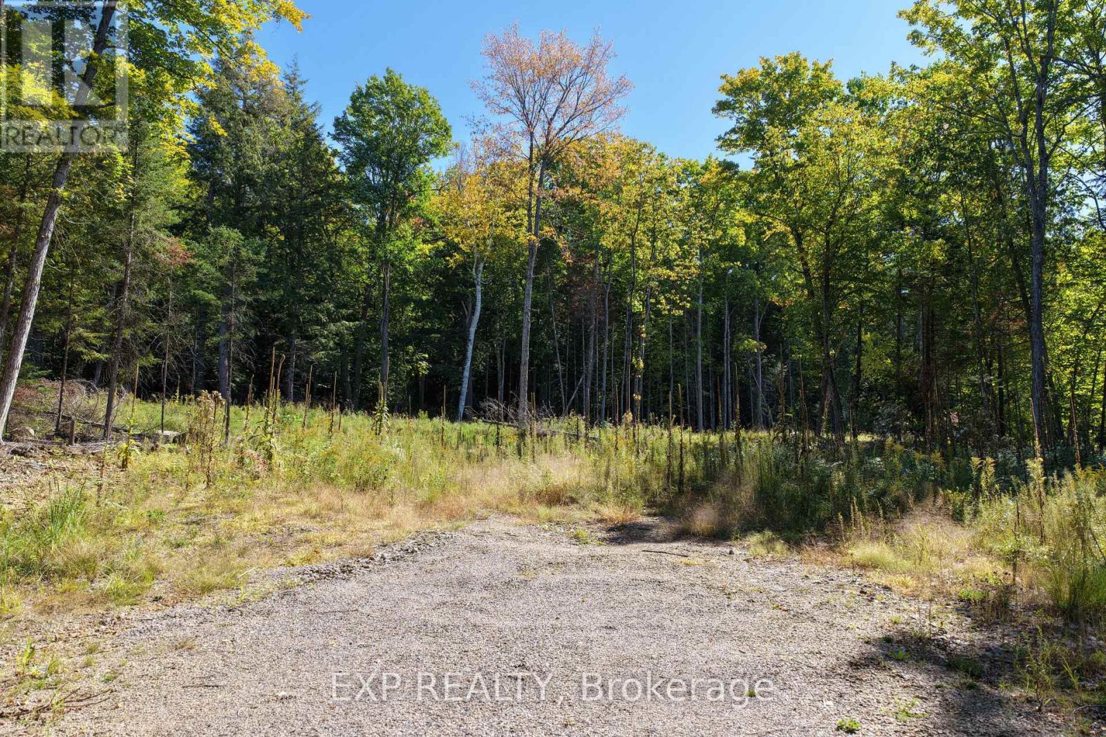 Lot 14 Lakewoods Drive, Madawaska Valley, Ontario K0J 1B0 - Photo 5 - X13079880