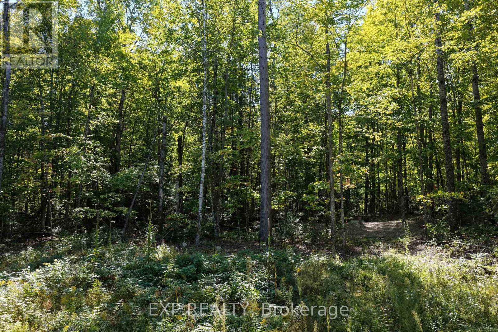 Lot 16 Lakewoods Drive, Madawaska Valley, Ontario K0J 1B0 - Photo 4 - X13079884