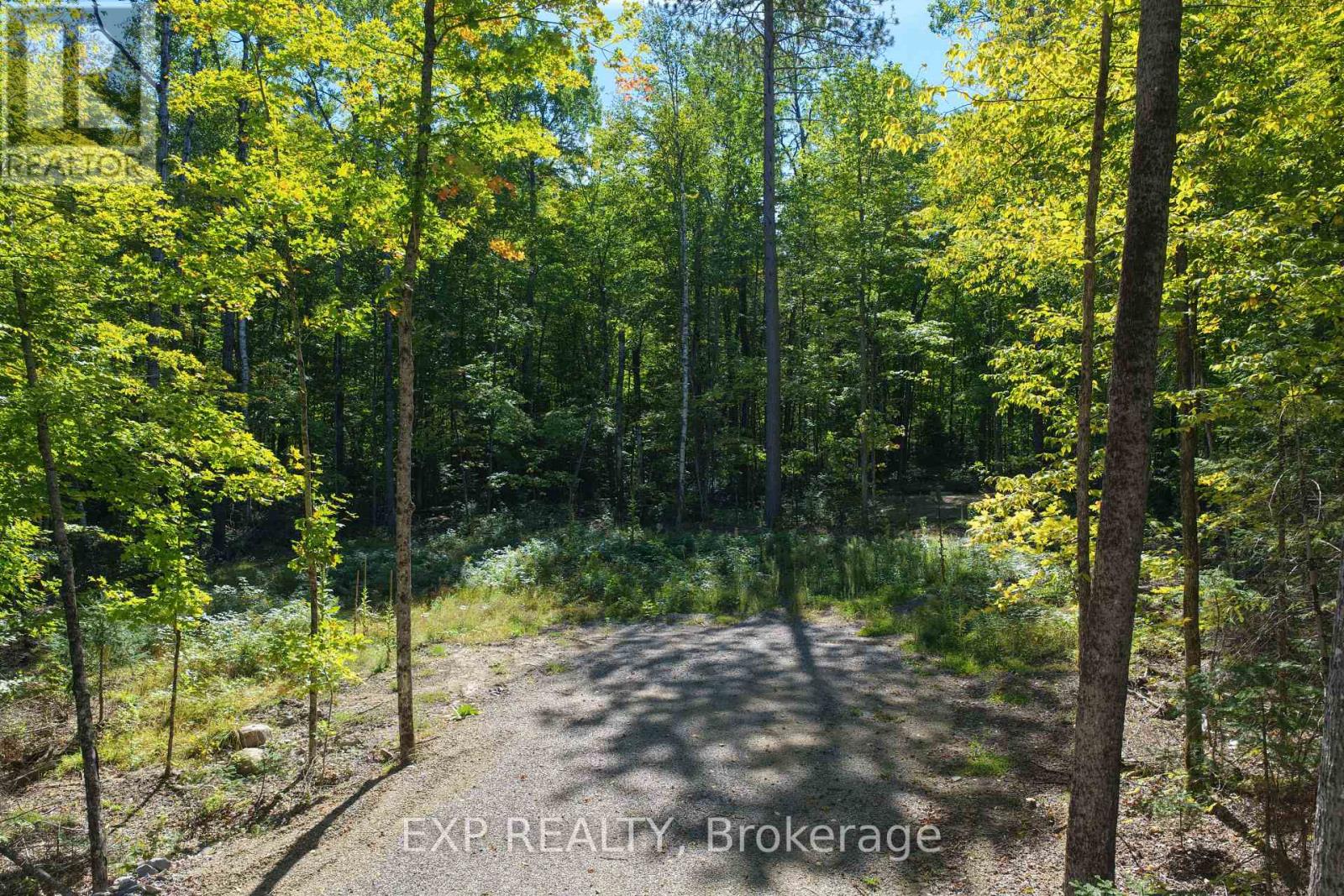 Lot 16 Lakewoods Drive, Madawaska Valley, Ontario K0J 1B0 - Photo 3 - X13079884