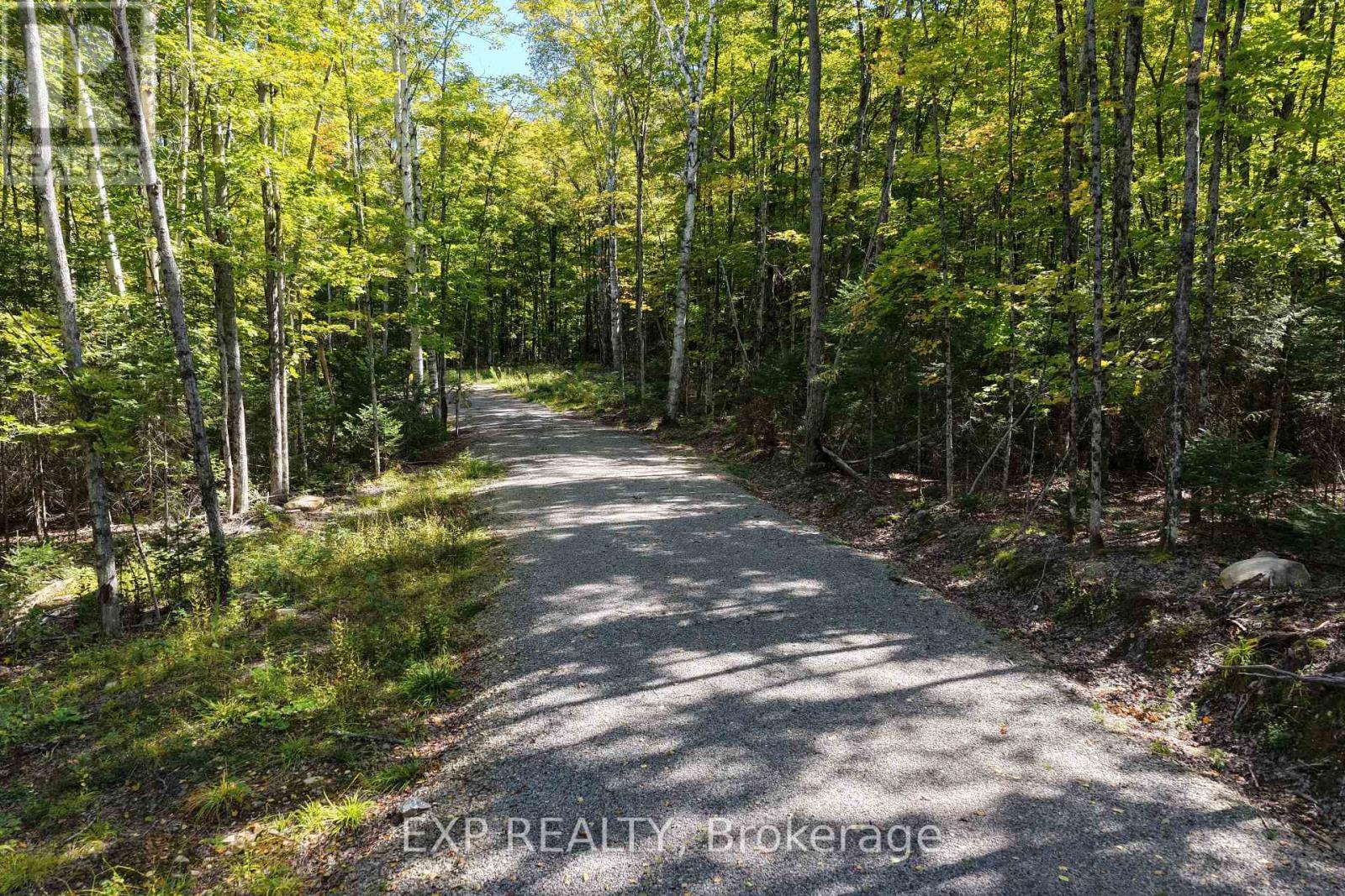 Lot 17 Lakewoods Drive, Madawaska Valley, Ontario K0J 1B0 - Photo 3 - X13079886